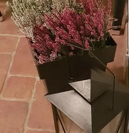 Nika Barbat na Rabu