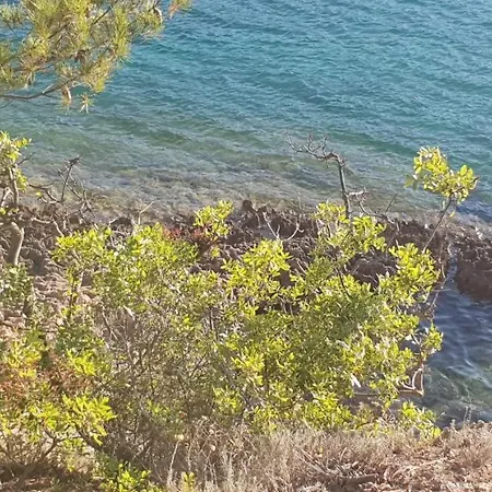 Nika Barbat na Rabu