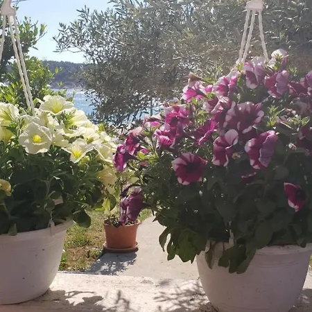 Frühstückspension Nika Barbat na Rabu