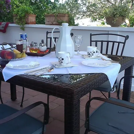Nika 4*