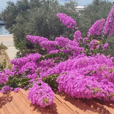 Nika krevet i doručak