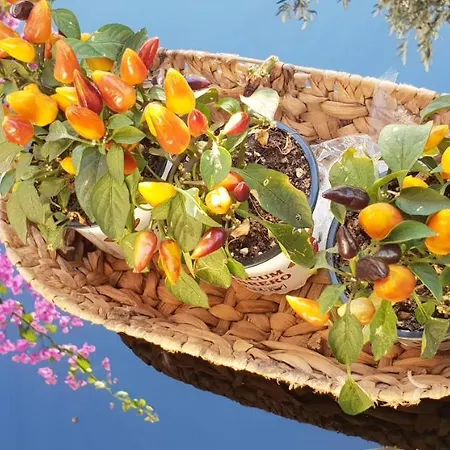 Nika Bed & Breakfast Barbat na Rabu