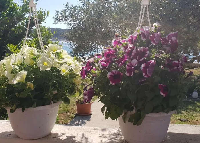 B&B Nika Barbat na Rabu